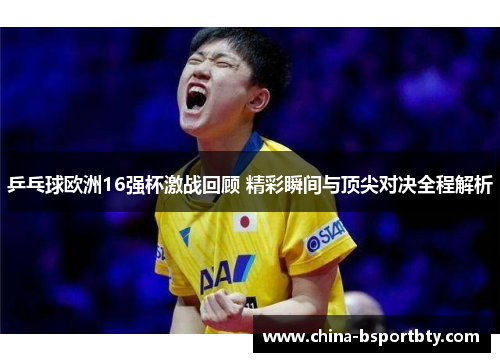 乒乓球欧洲16强杯激战回顾 精彩瞬间与顶尖对决全程解析